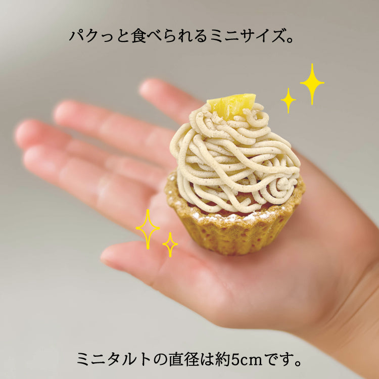プチモンブランタルト5個セット